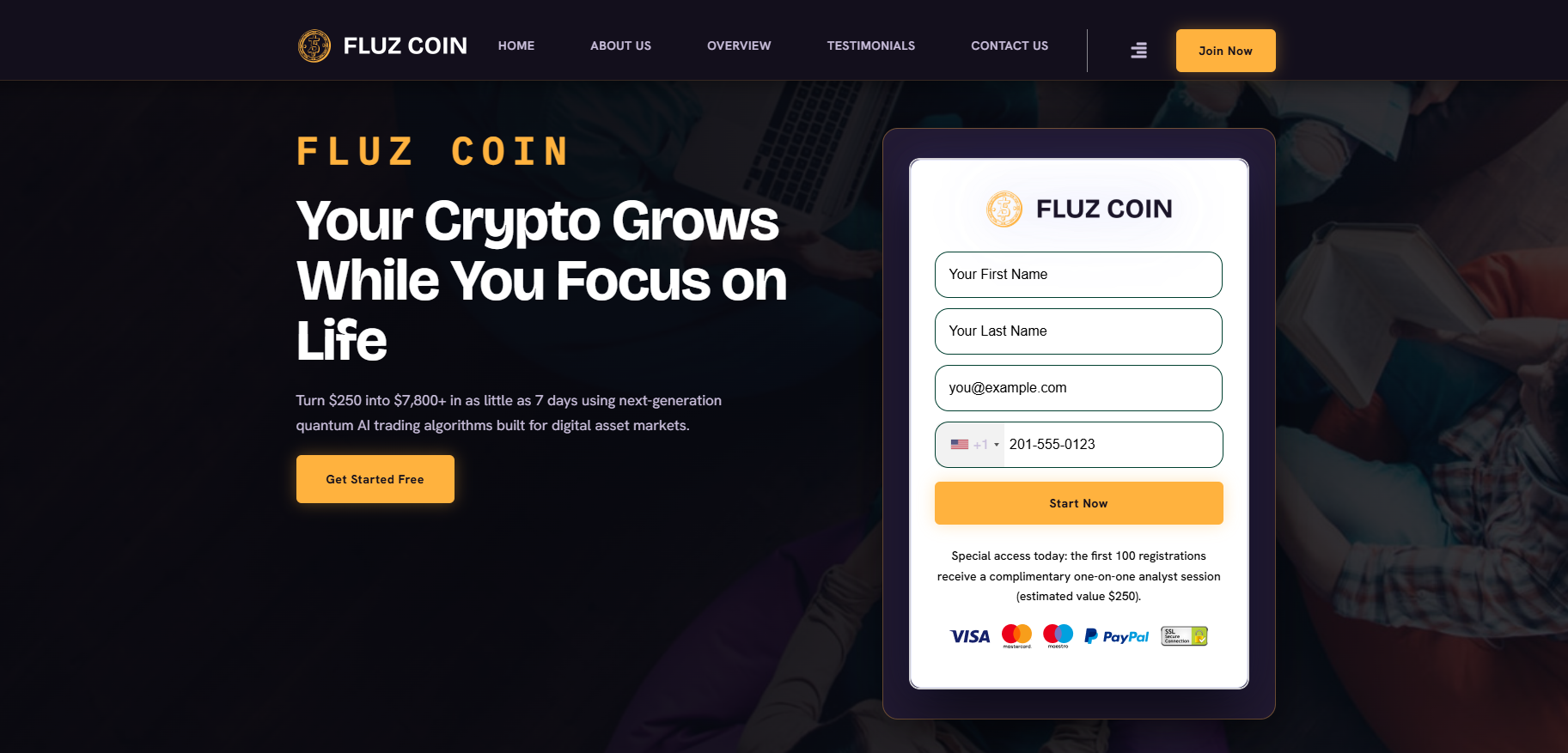 Fluz Coin Platform Dashboard
